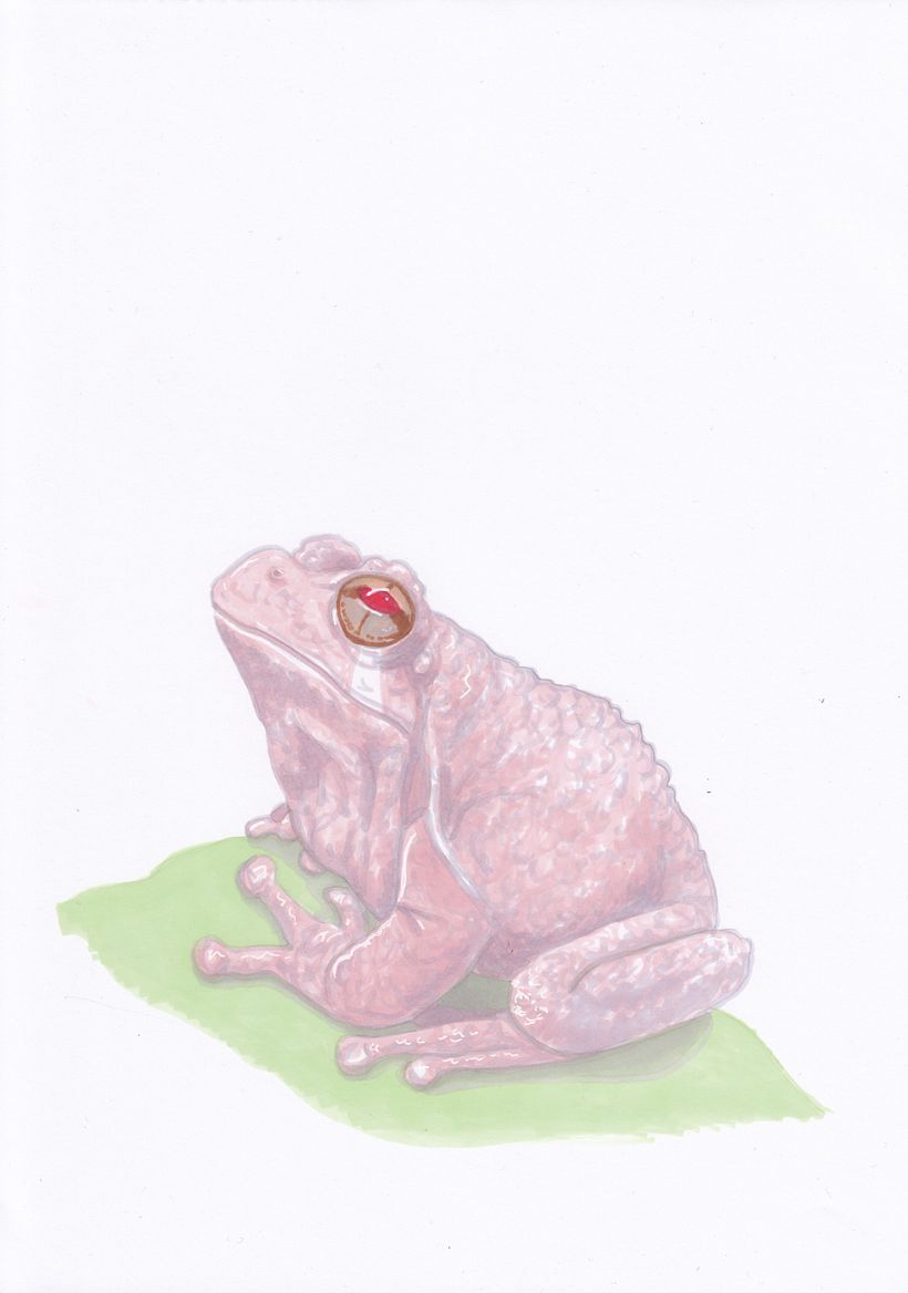 Mi aportación al fanzine Season of the Witch de The Ayeayes 4