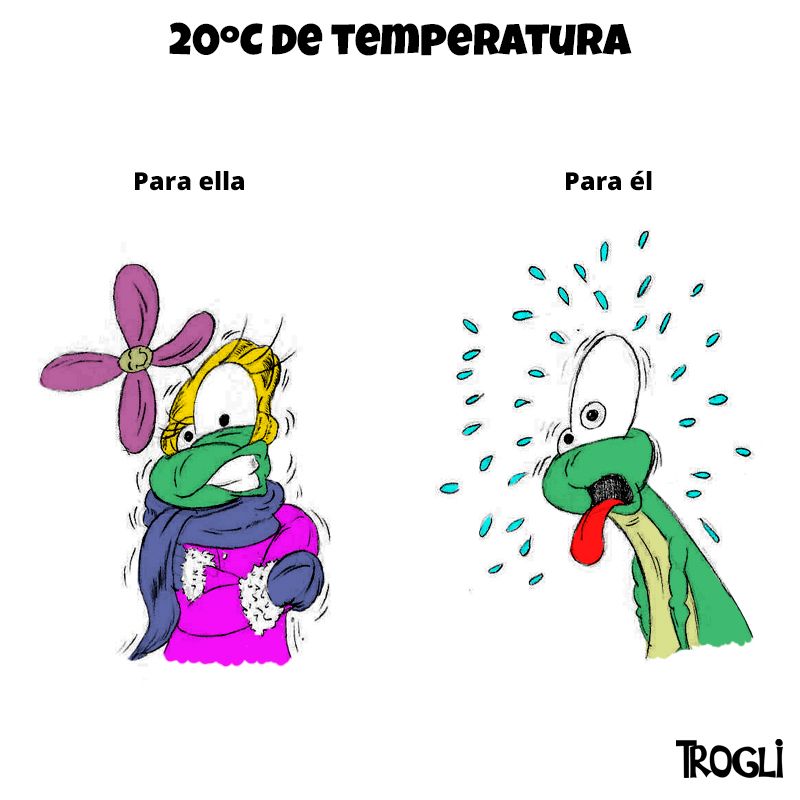 Trogli: Estudio de ilustración y animación 1