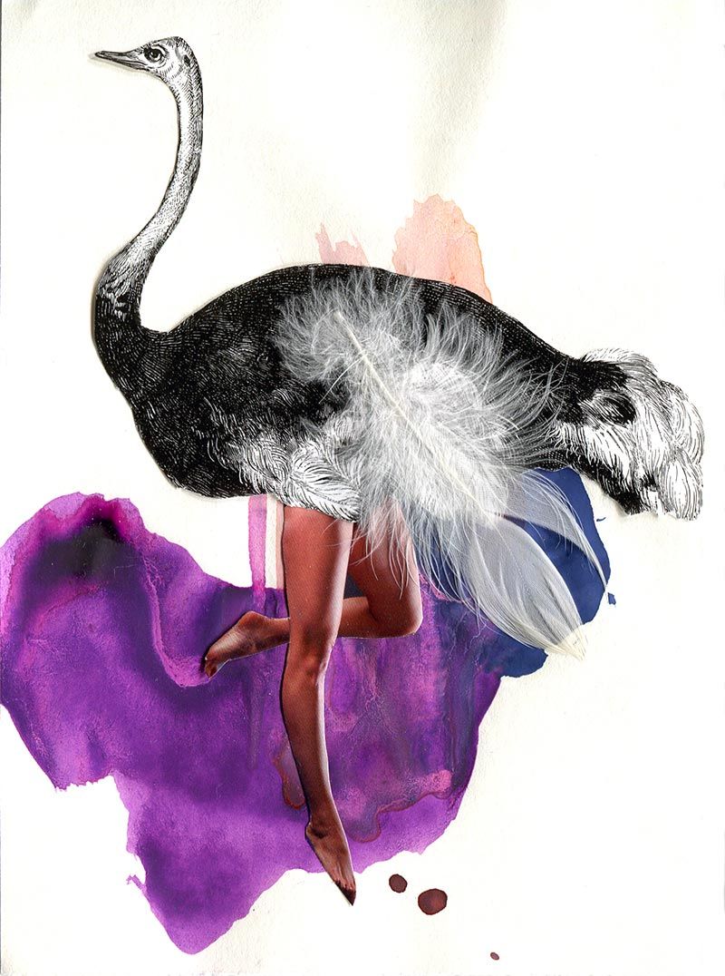 collages 2