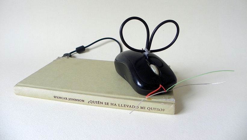 Mouse 1