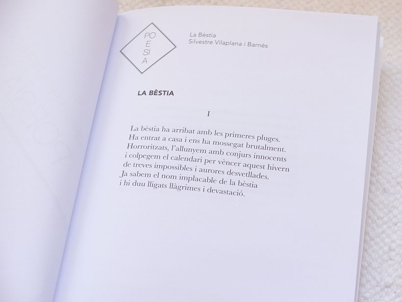 Libro poesía 1