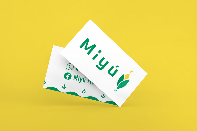 Miyú 10