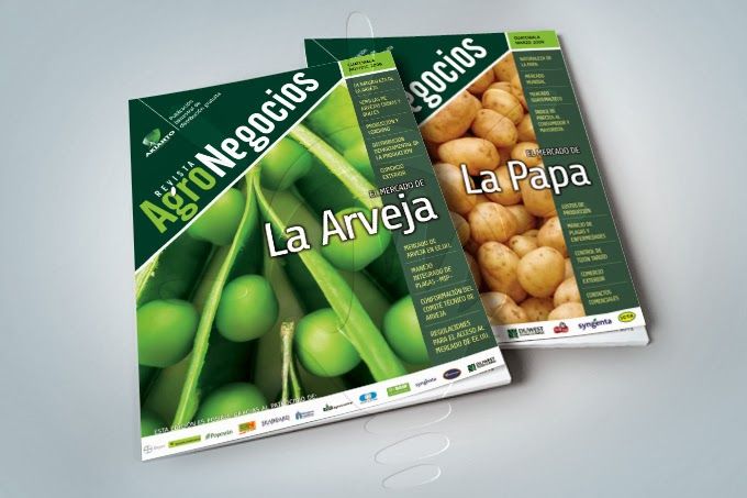 Diseño Editorial - Design dell’informazione