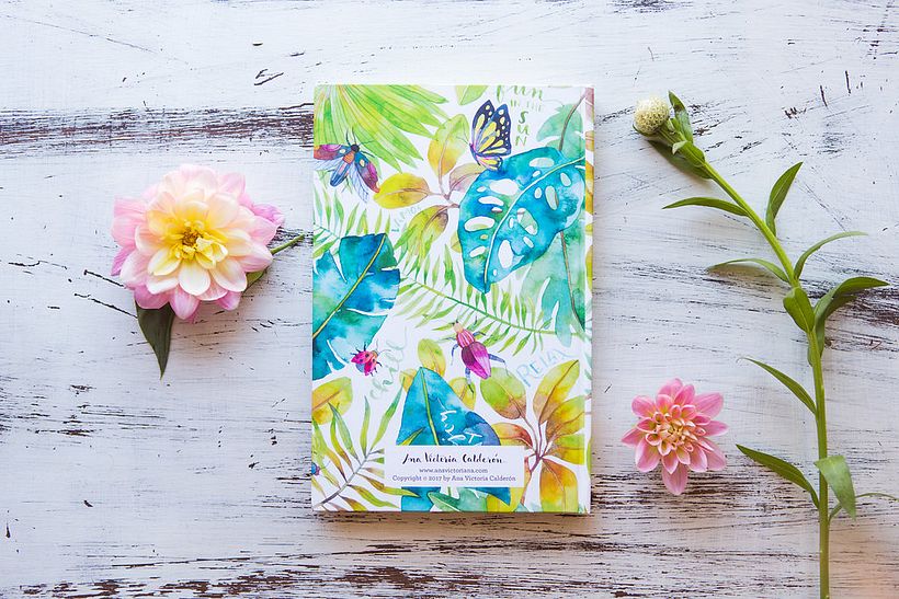 Libretas de Pasta Dura  3