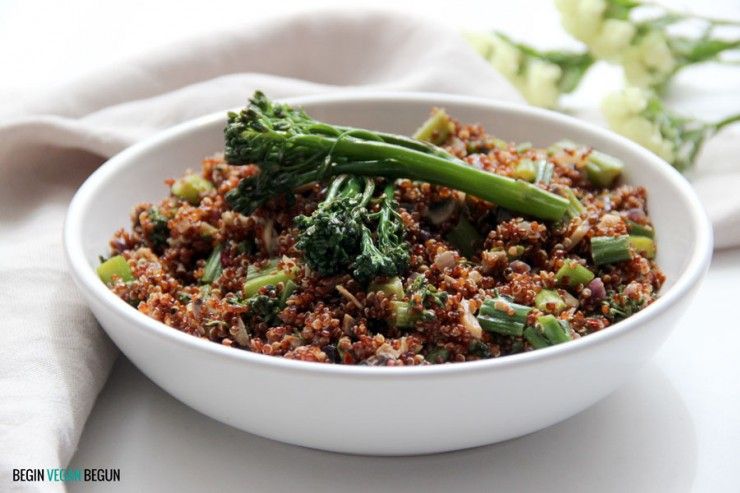 Begin Vegan Begun 4
