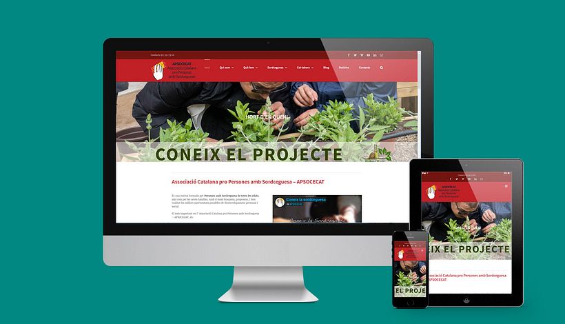 Web Apsocecat -1