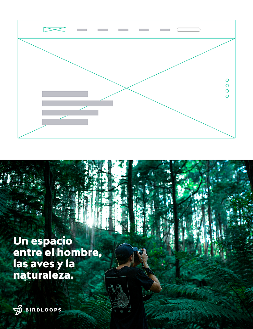 BIRDLOOPS ™ - Brand Identity 2