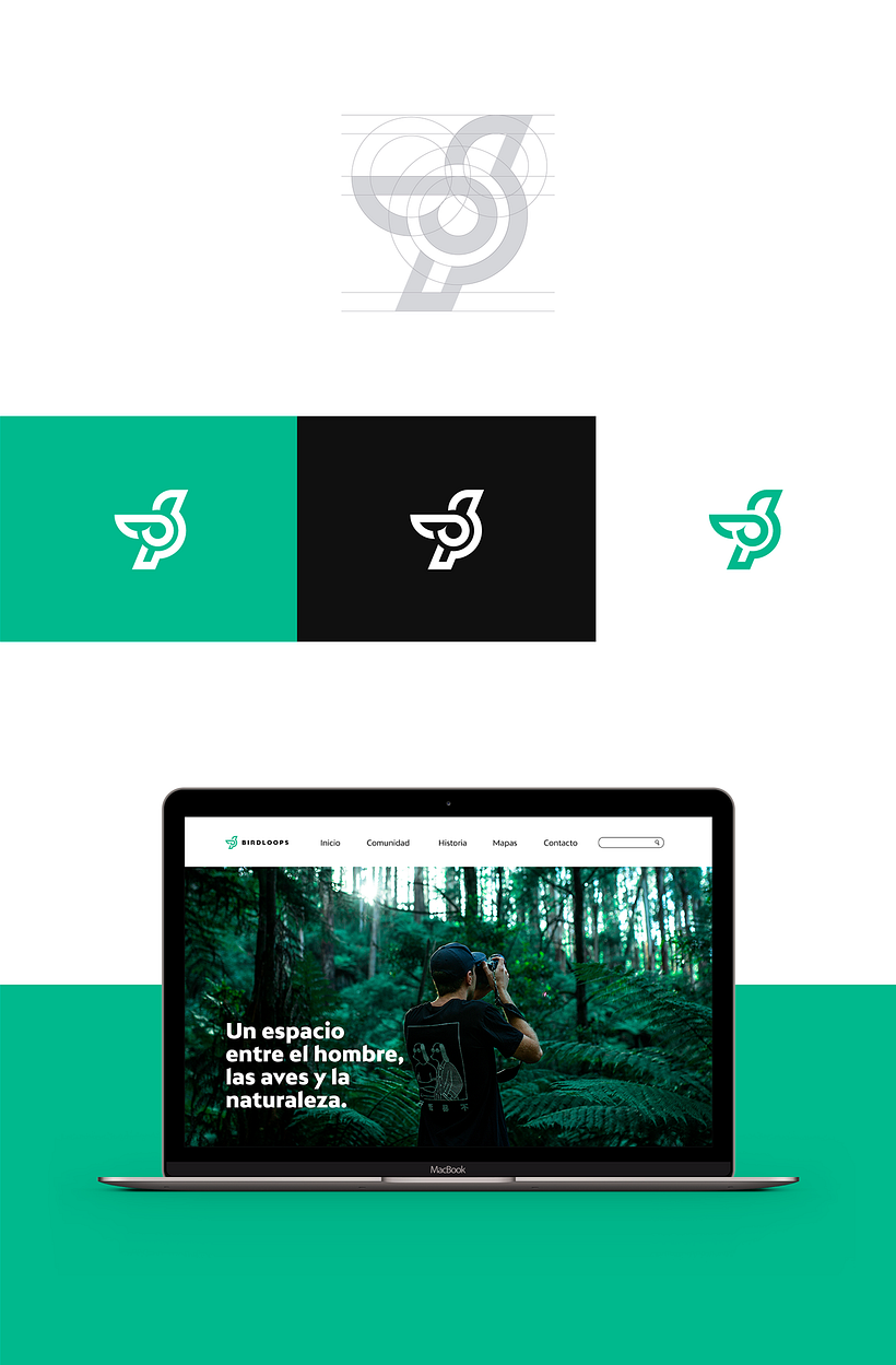 BIRDLOOPS ™ - Brand Identity 3