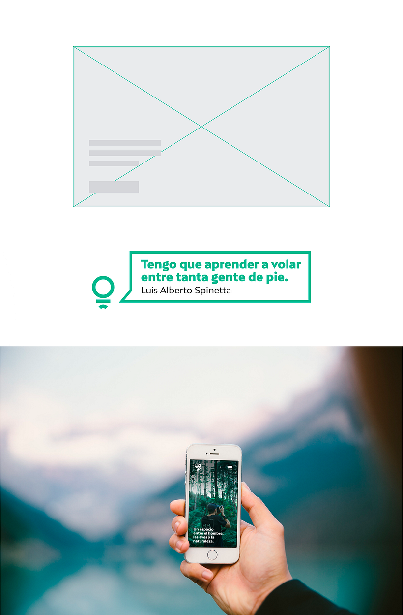 BIRDLOOPS ™ - Brand Identity 4