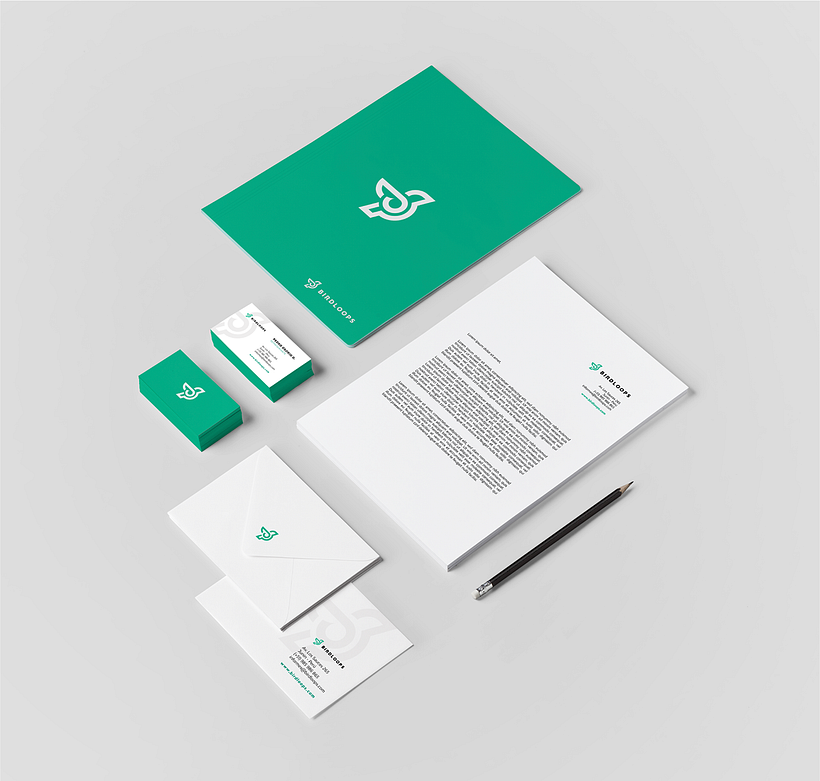 BIRDLOOPS ™ - Brand Identity 6