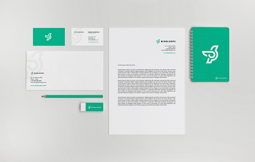BIRDLOOPS ™ - Brand Identity 7