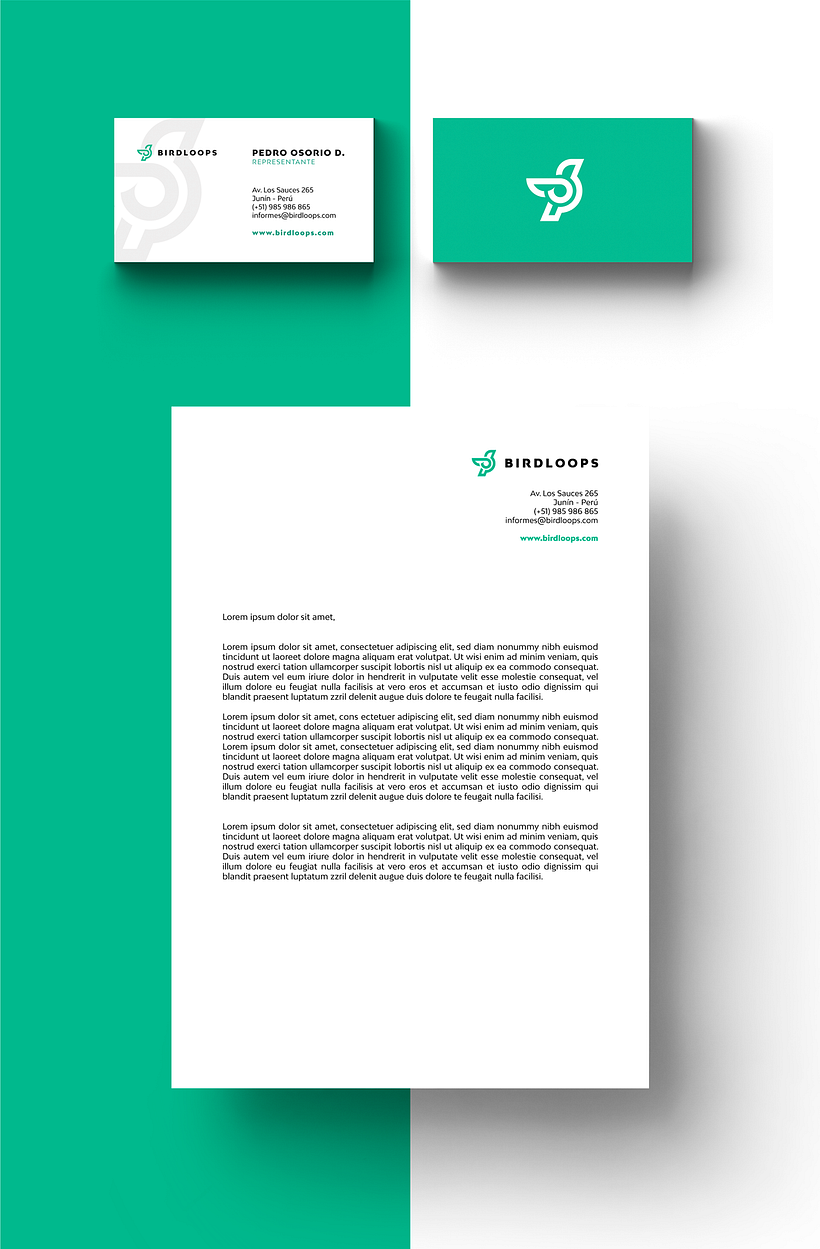 BIRDLOOPS ™ - Brand Identity 5