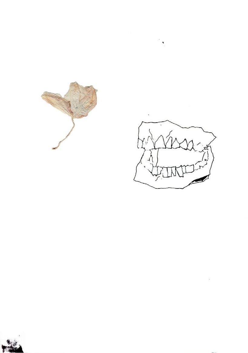 Dibujos 1