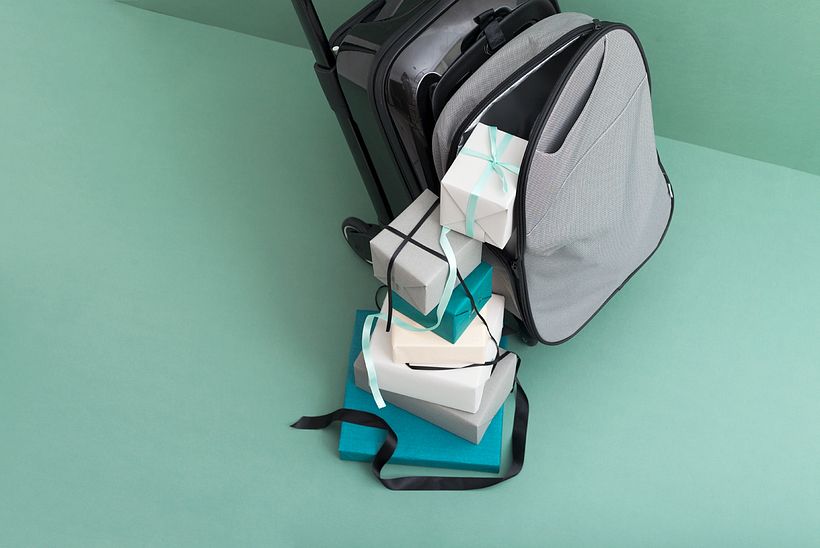Bugaboo Luggage para CBDA 7