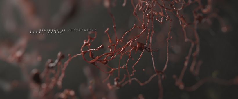 MUSE Main Titles 11