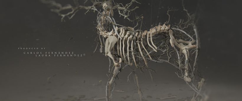 MUSE Main Titles 16
