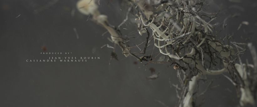 MUSE Main Titles 18