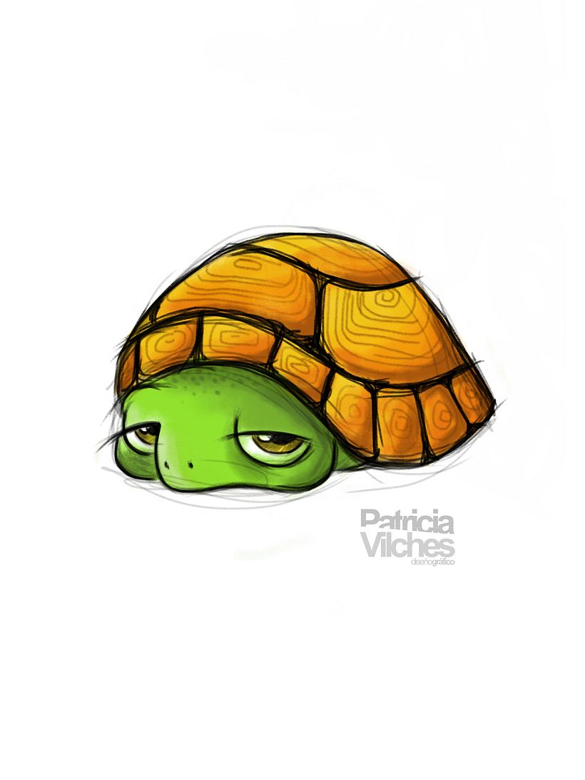 Ilustración Tortuga -1