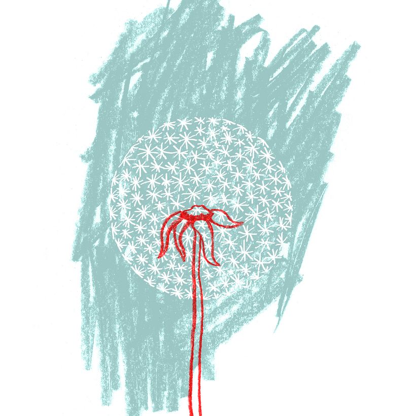 Libro de artista: "Te regalo" 7