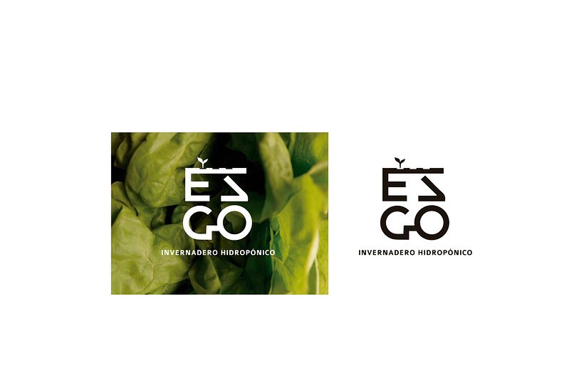 ESGO invernadero hidropónico 0