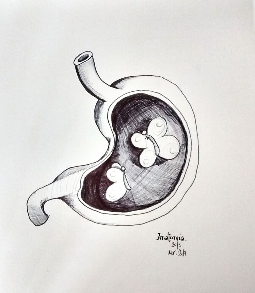 Ilustración 8