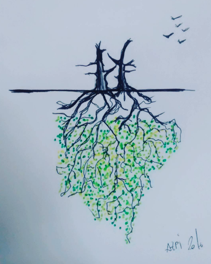 Ilustración 10