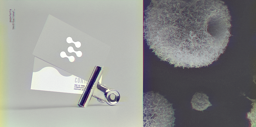 CONICET | Identidad Visual - Diseño