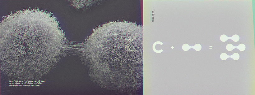 CONICET | Identidad Visual - Diseño