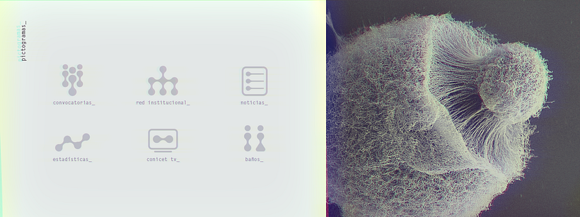 CONICET | Identidad Visual - Diseño