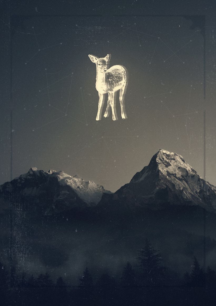 Animales 1