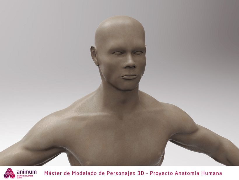 Estudio de anatomía 1