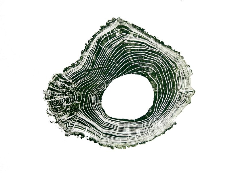 Ecosofia de excedentes -1