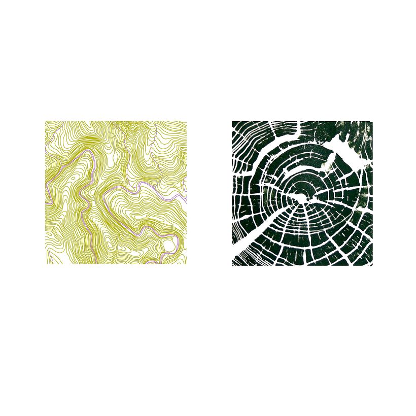 Ecosofia de excedentes 0