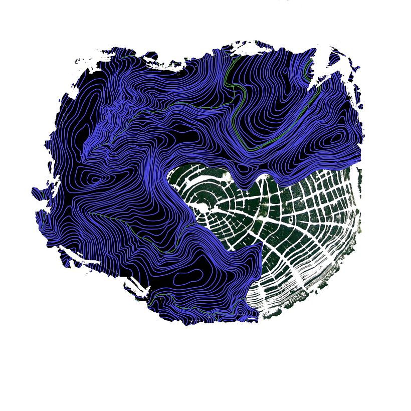 Ecosofia de excedentes 1