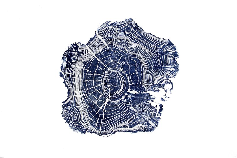 Ecosofia de excedentes 2