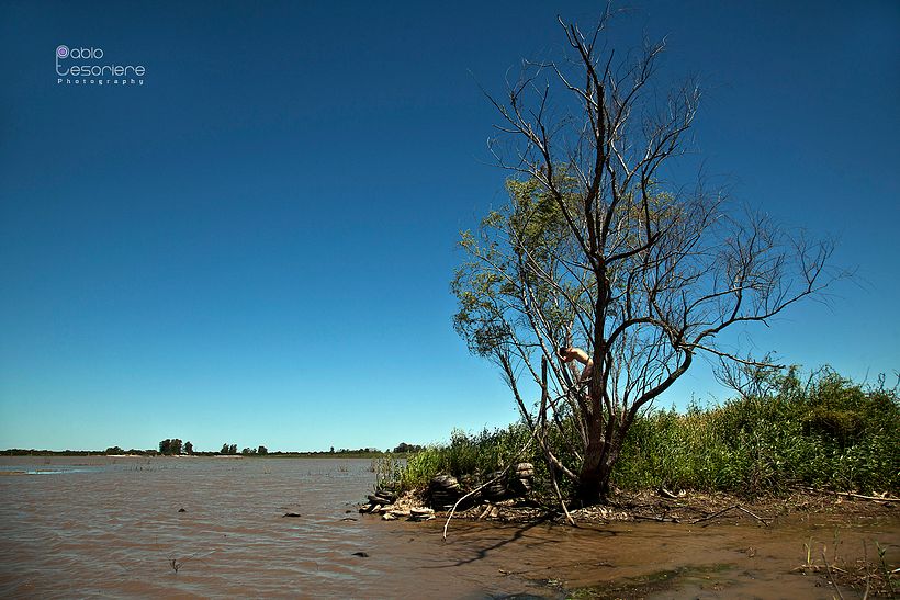 Habitando Espacios 5