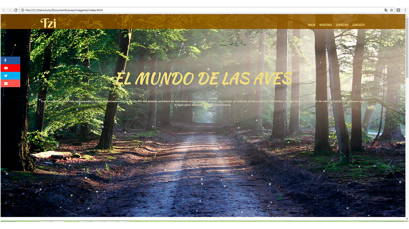 Pagina web -1