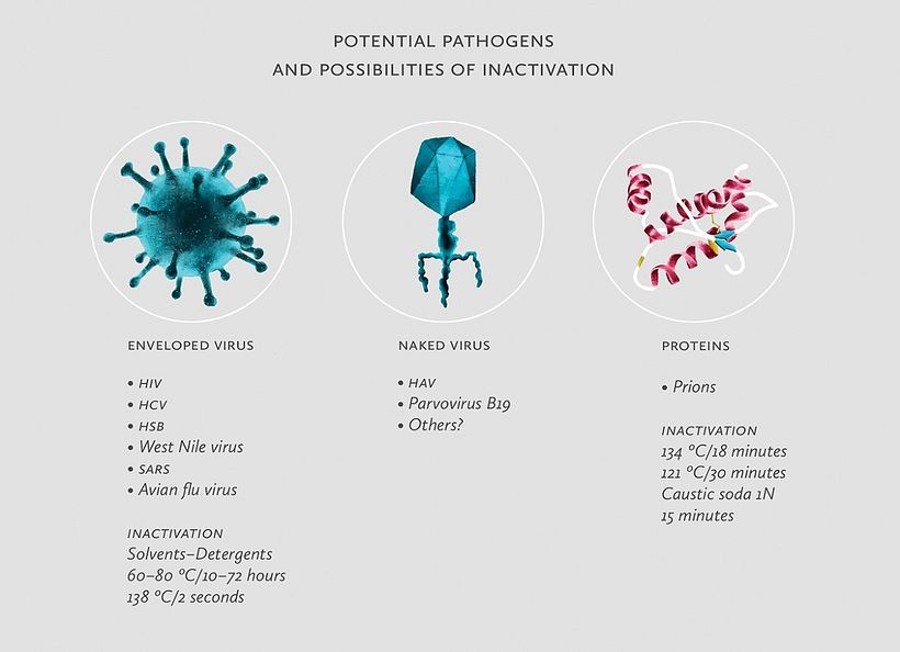 Basic Guide of Hemophilia 10