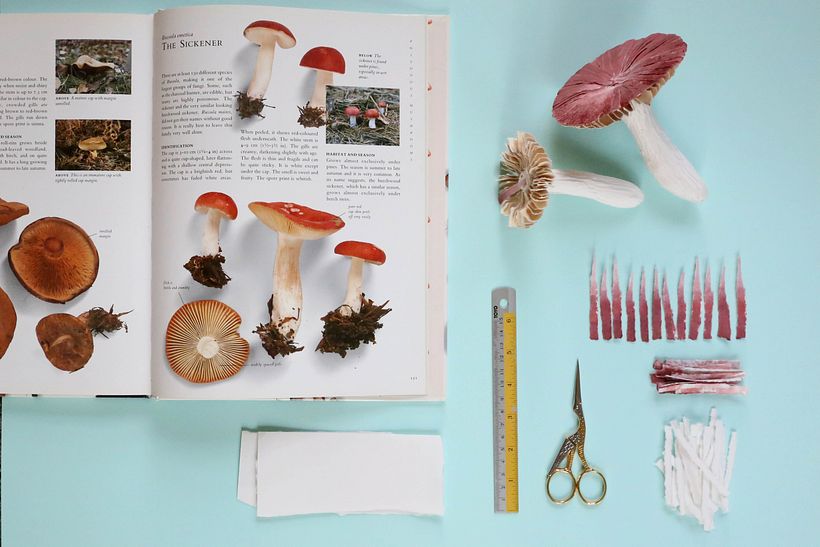 Paper mushrooms 1