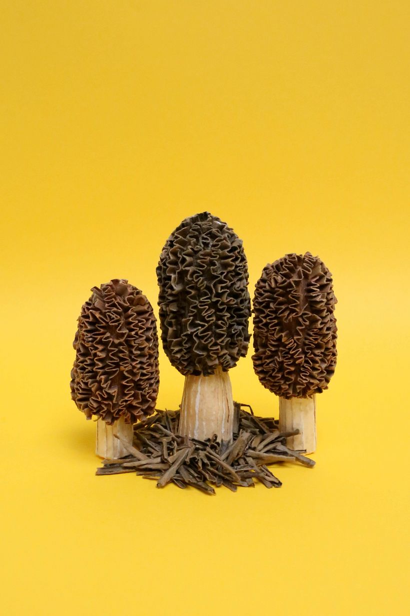 Paper mushrooms 3