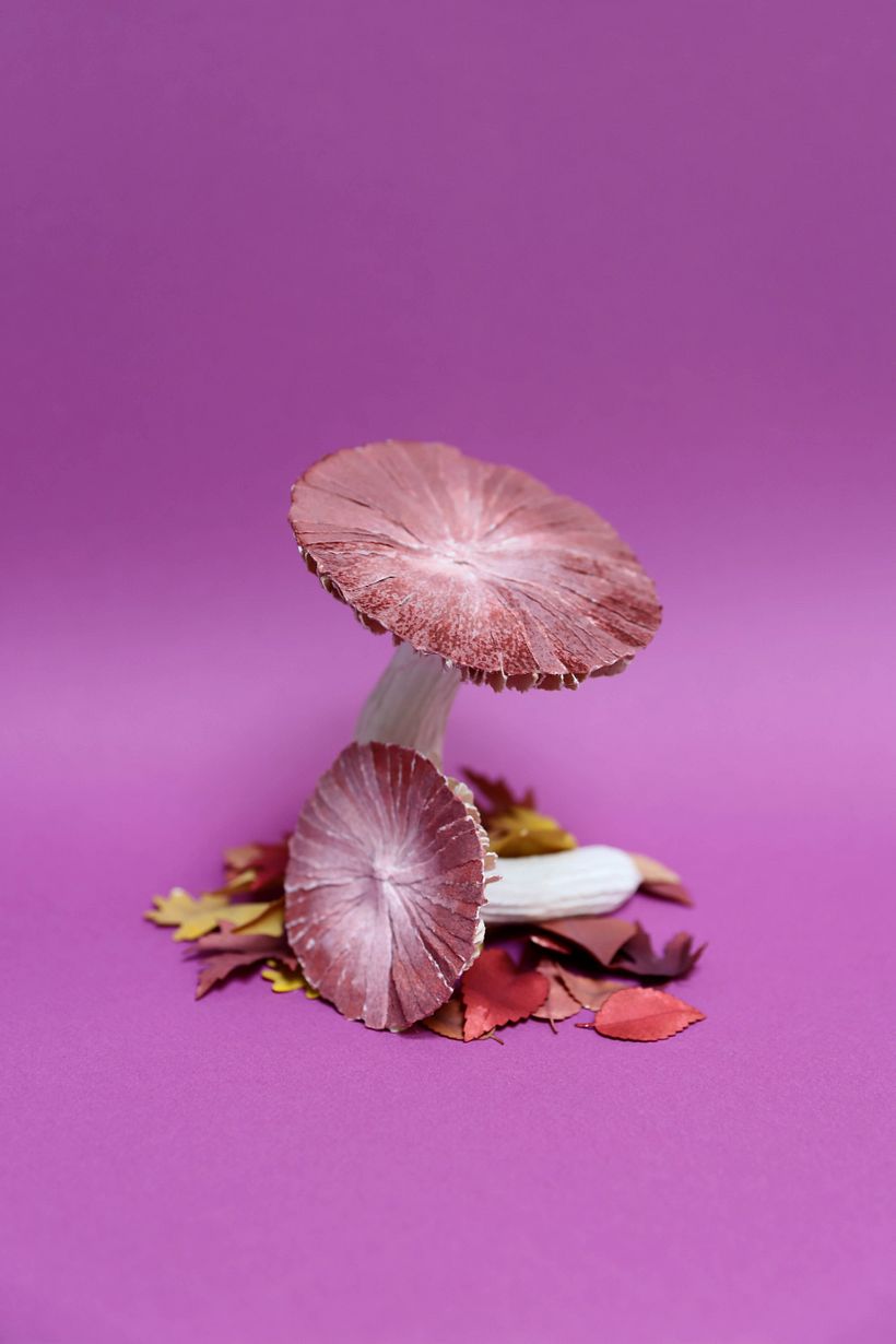 Paper mushrooms 4