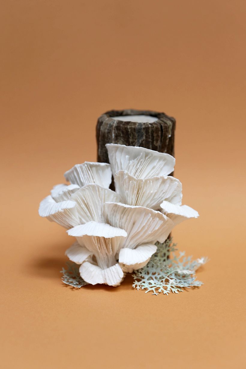 Paper mushrooms 5