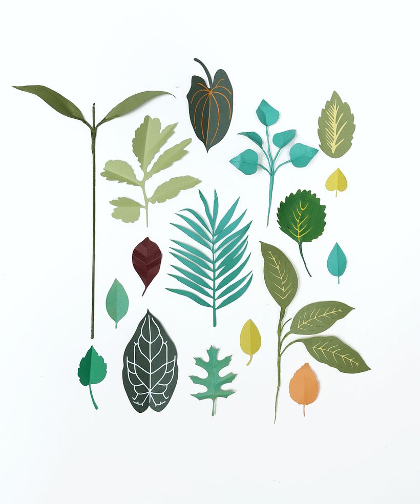 Leaves in paper (proposal) -1