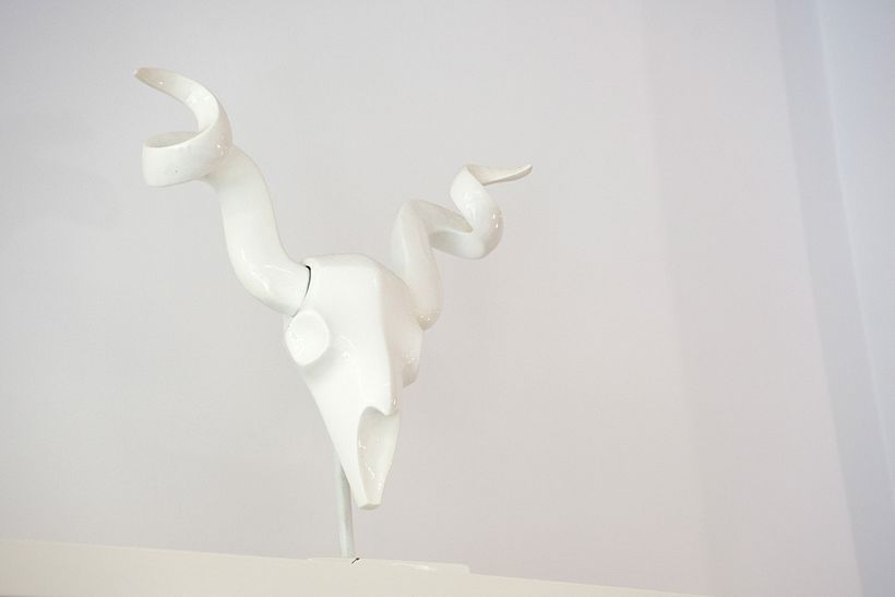 Dogma by lidia maldonado - Branding 32