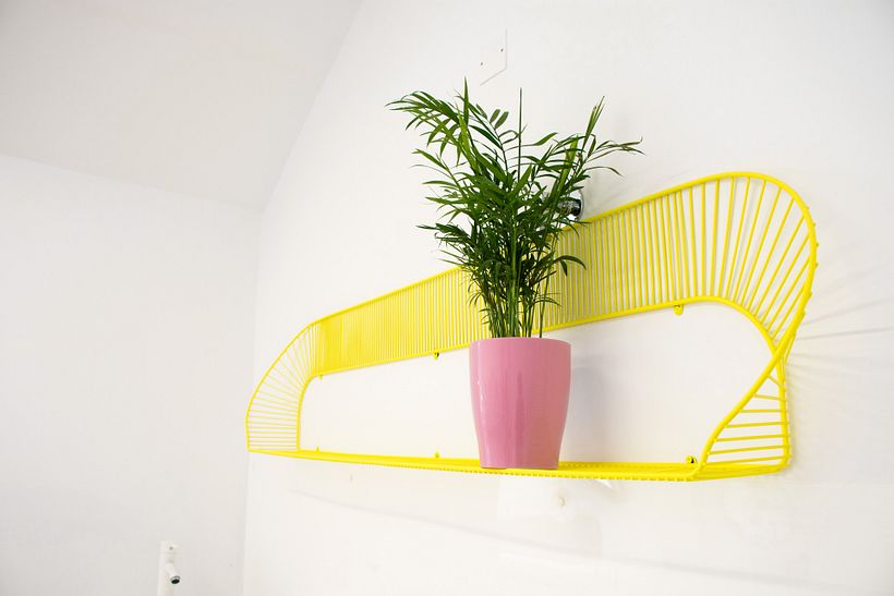 Dogma by lidia maldonado - Branding 38