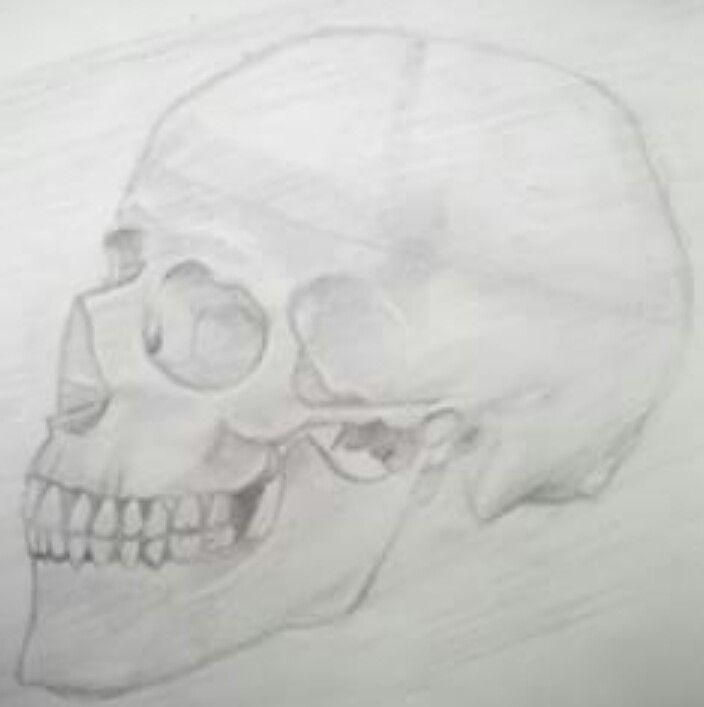 Ilustración 0