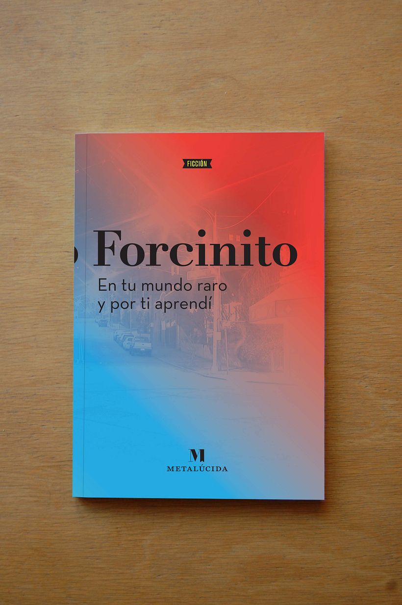 Diseño editorial Metalúcida  5