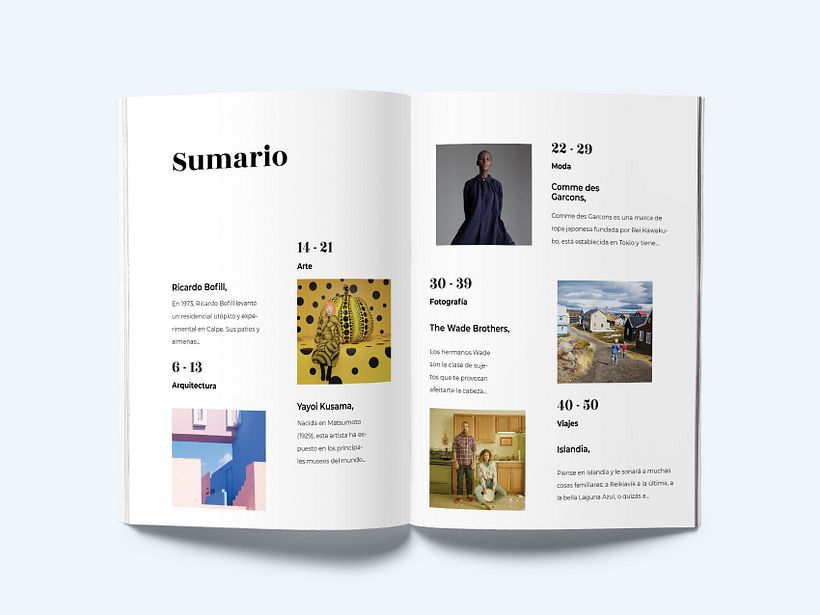 Mi Proyecto del curso: Introducción al Diseño Editorial 0