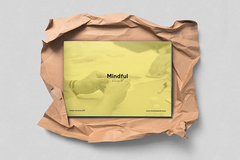 Mindful 3