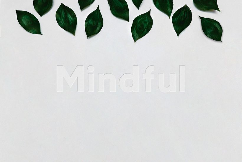 Mindful 0
